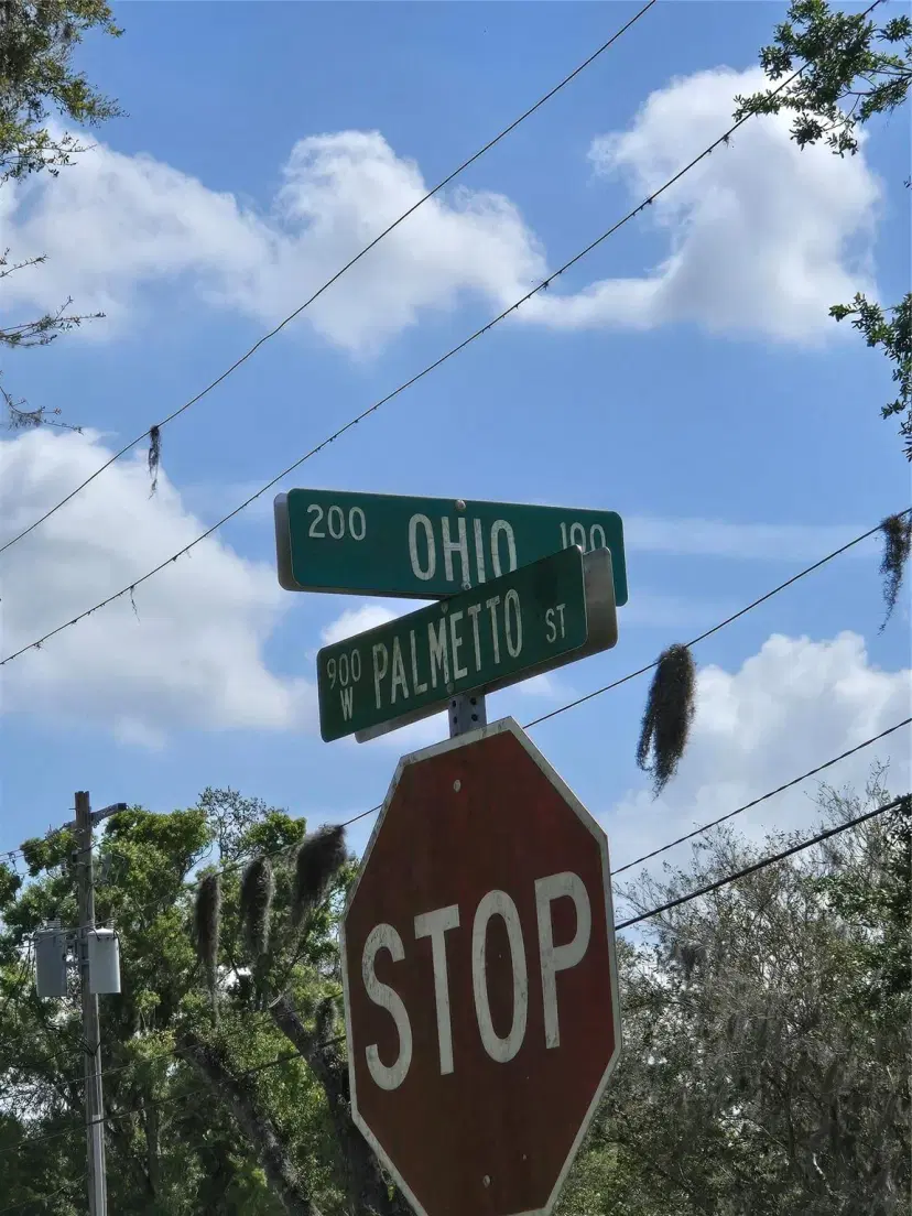Picture of 119 N Ohio Avenue, Wauchula FL 33873