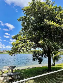 Picture of 1098 Stardust Way, Royal Palm Beach, FL 33411