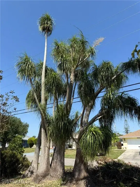 Picture of 1448 SE 22Nd St, Cape Coral FL 33990