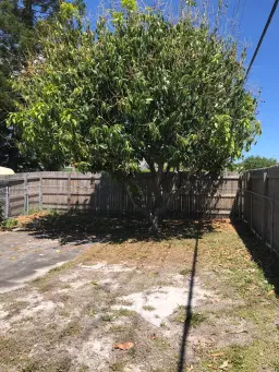 Picture of 300 Churchill Road, West Palm Beach, FL 33405