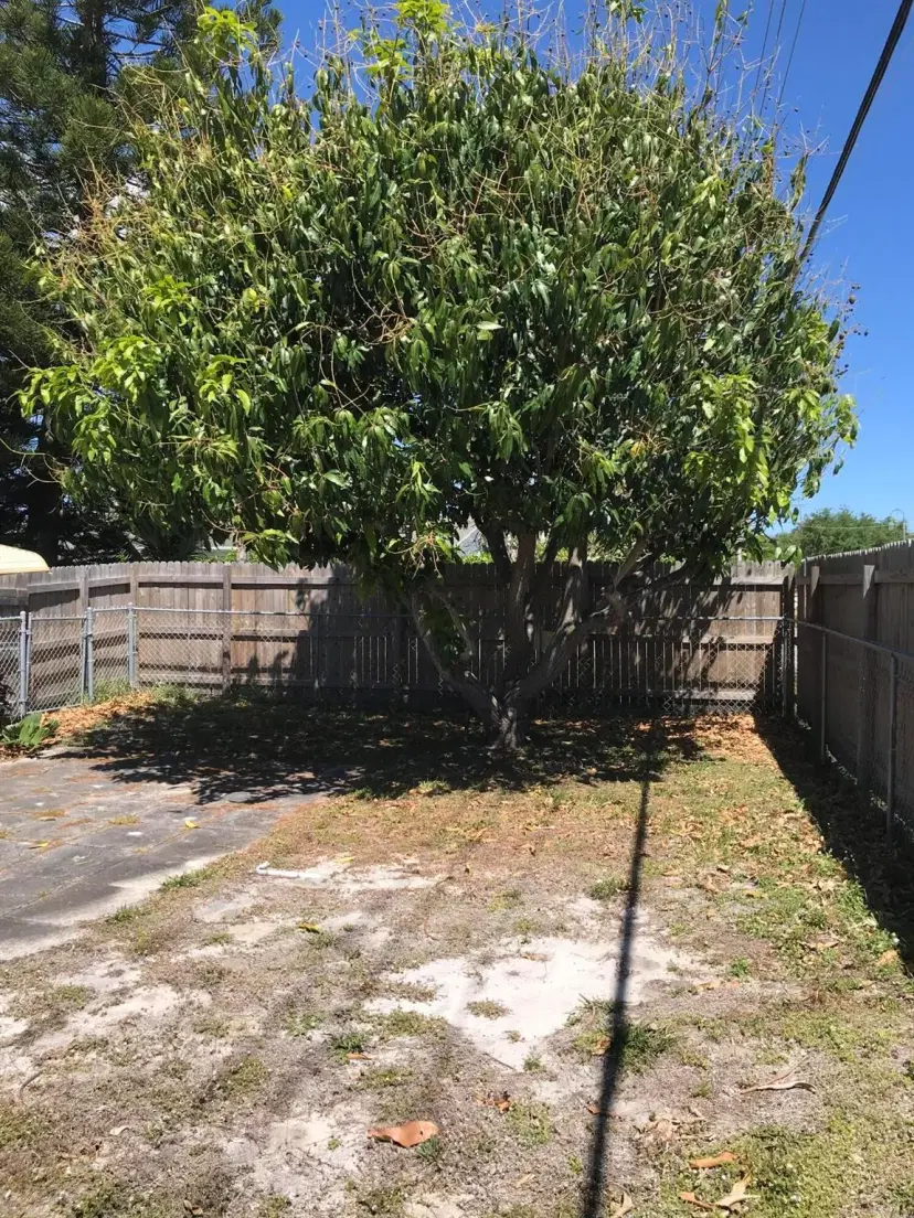 Picture of 300 Churchill Road, West Palm Beach FL 33405