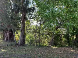 Picture of 1308 Brookhill Dr, Fort Myers, FL 33916
