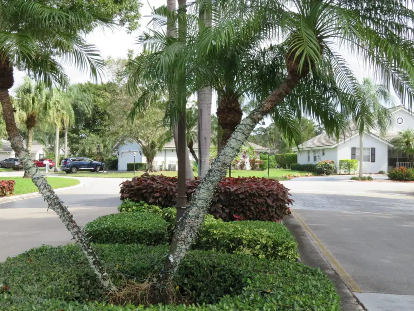 Picture of 5372 Pine Circle, Coral Springs FL 33067