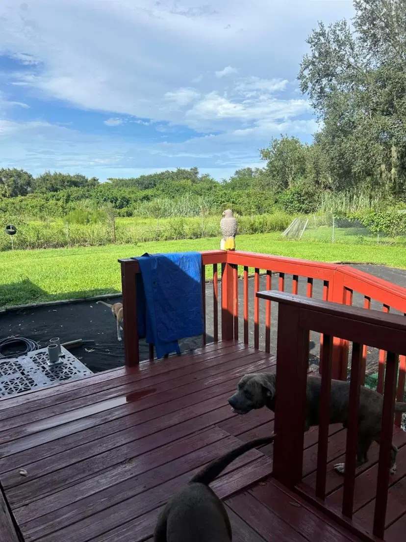 Picture of 775 N Coral Street, Clewiston FL 33440