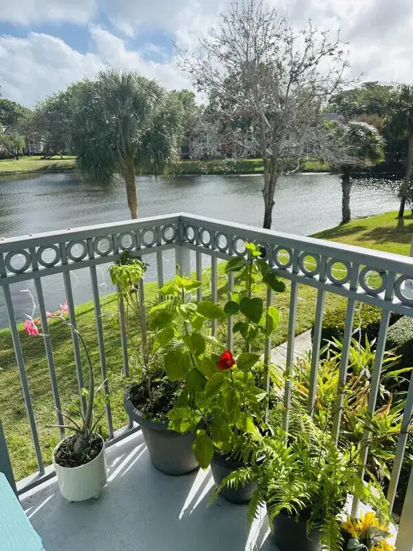 Picture of 2040 Alta Meadows Lane 1606, Delray Beach FL 33444
