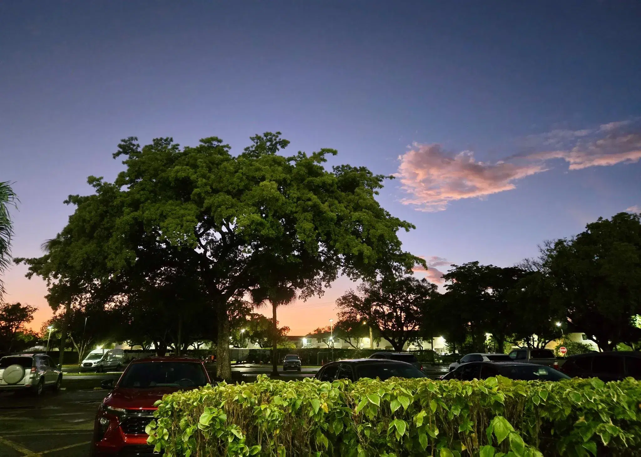 Picture of 1650 NW 80Th Avenue 401, Margate, FL 33063