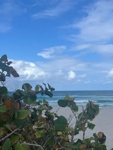 Picture of 2080 S Ocean Dr 505, Hallandale Beach FL 33009