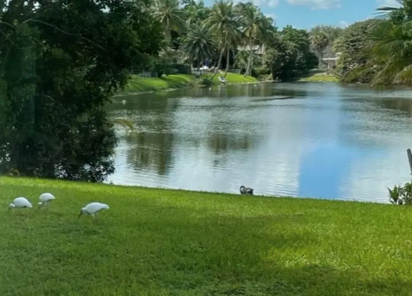 Picture of 299 NW 10Th Court, Boca Raton FL 33486