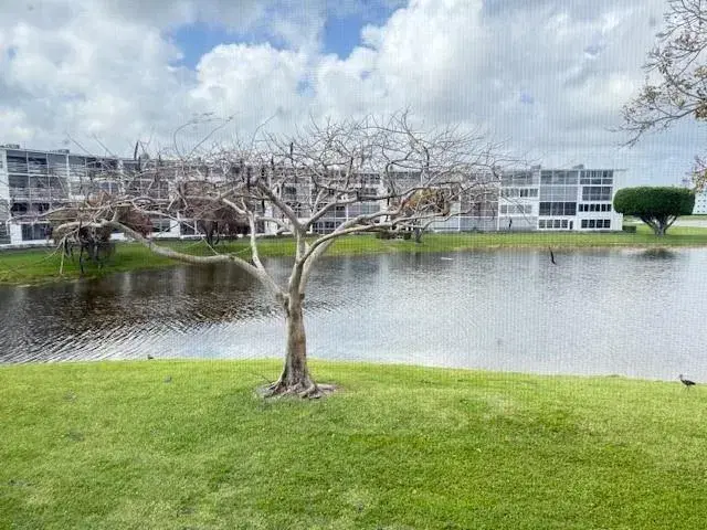 Picture of 2038 Newcastle B 2038, Boca Raton FL 33434