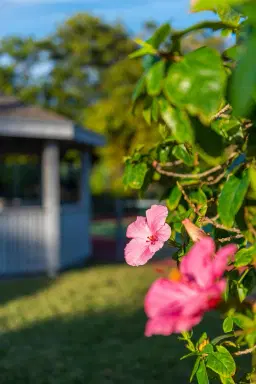 Picture of 3442 NE Causeway Boulevard 202, Jensen Beach, FL 34957