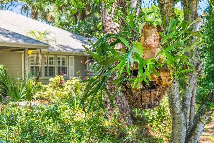 Picture of 435 61St Avenue, Vero Beach FL 32968