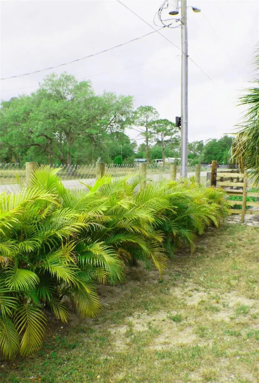 Picture of 539 Montura Ave, Clewiston FL 33440