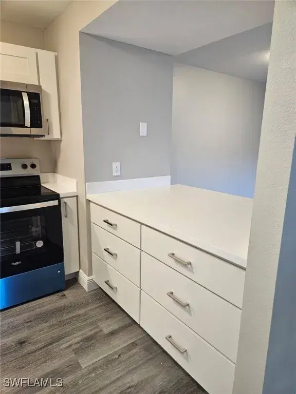 Picture of 17420 Birchwood Ln 4, Fort Myers FL 33908