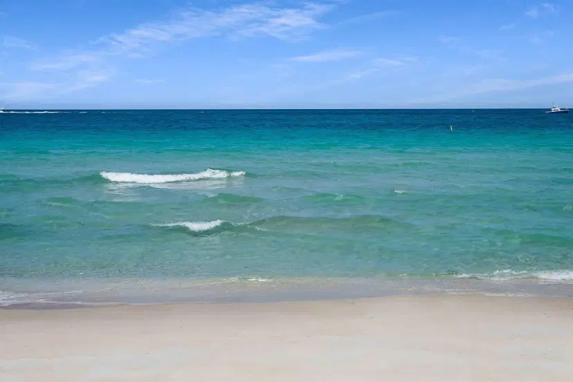 Picture of 9801 Collins Avenue 16F, Bal Harbour FL 33154