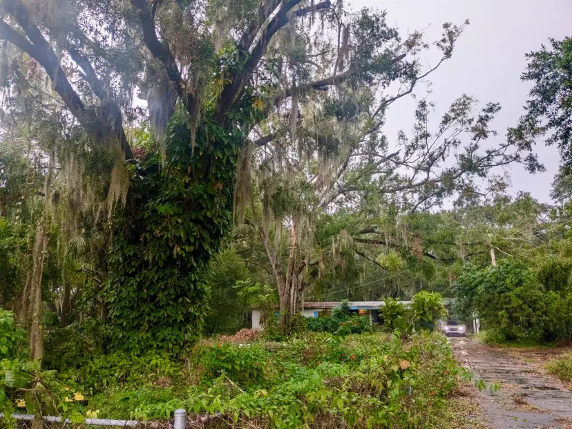 Picture of 3310 Old Dixie Highway, Auburndale FL 33823