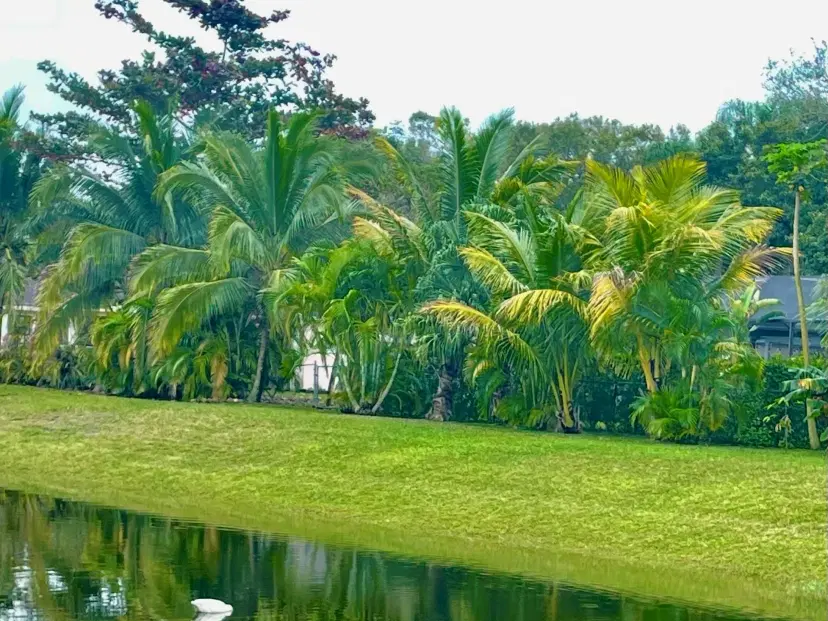 Picture of 10874 Royal Palm Blvd 10874, Coral Springs FL 33065