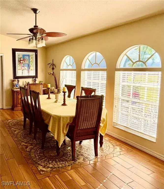 Picture of 165 SE 22Nd Ter, Cape Coral FL 33990