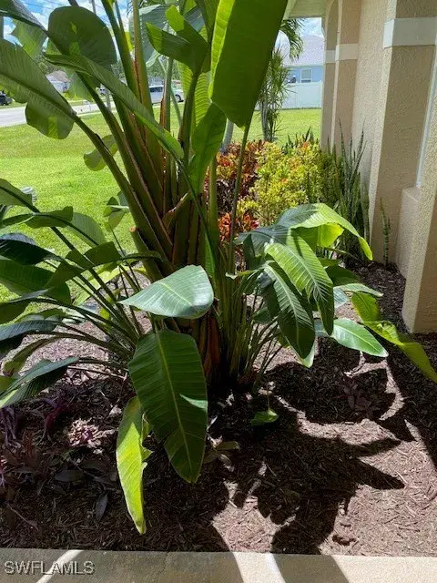 Picture of 4306 Garden Blvd, Cape Coral FL 33909