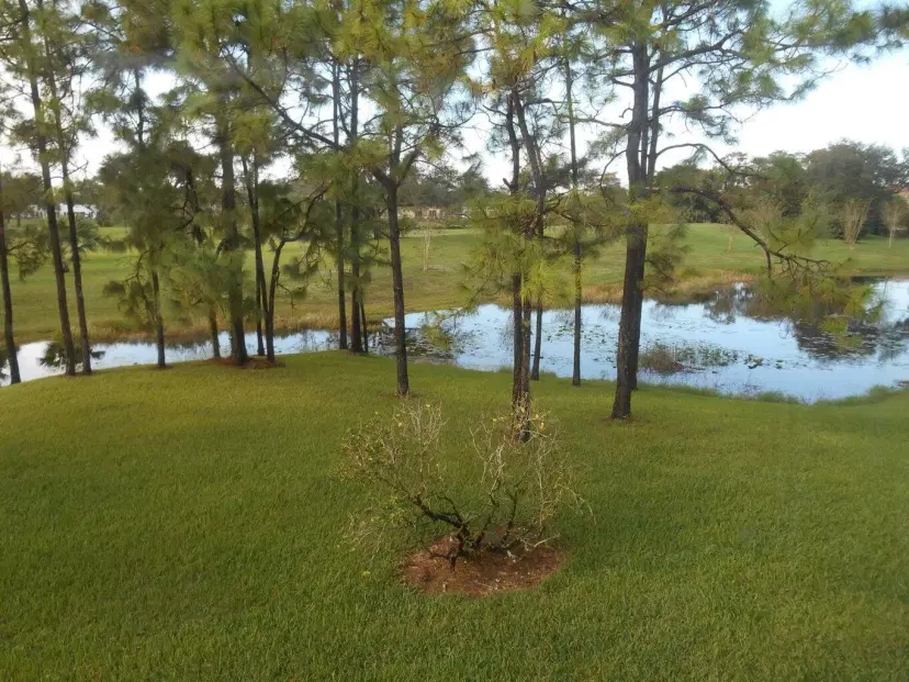 Picture of 1807 Palm Beach Trace Drive, Royal Palm Beach FL 33411