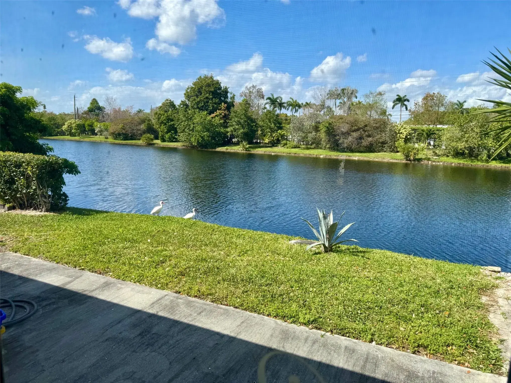 Picture of 8829 Bella Vista Dr 282, Boca Raton, FL 33433