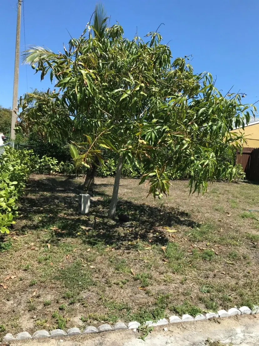 Picture of 940 44Th Street Sw, West Palm Beach FL 33407