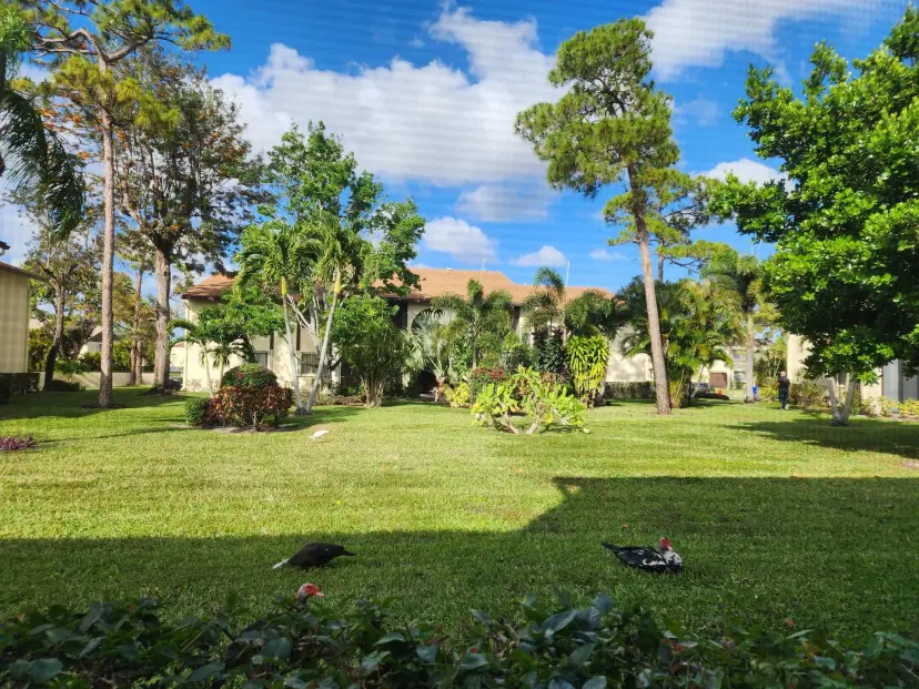 Picture of 3560 Lazy Pine Way B-1, Greenacres FL 33463
