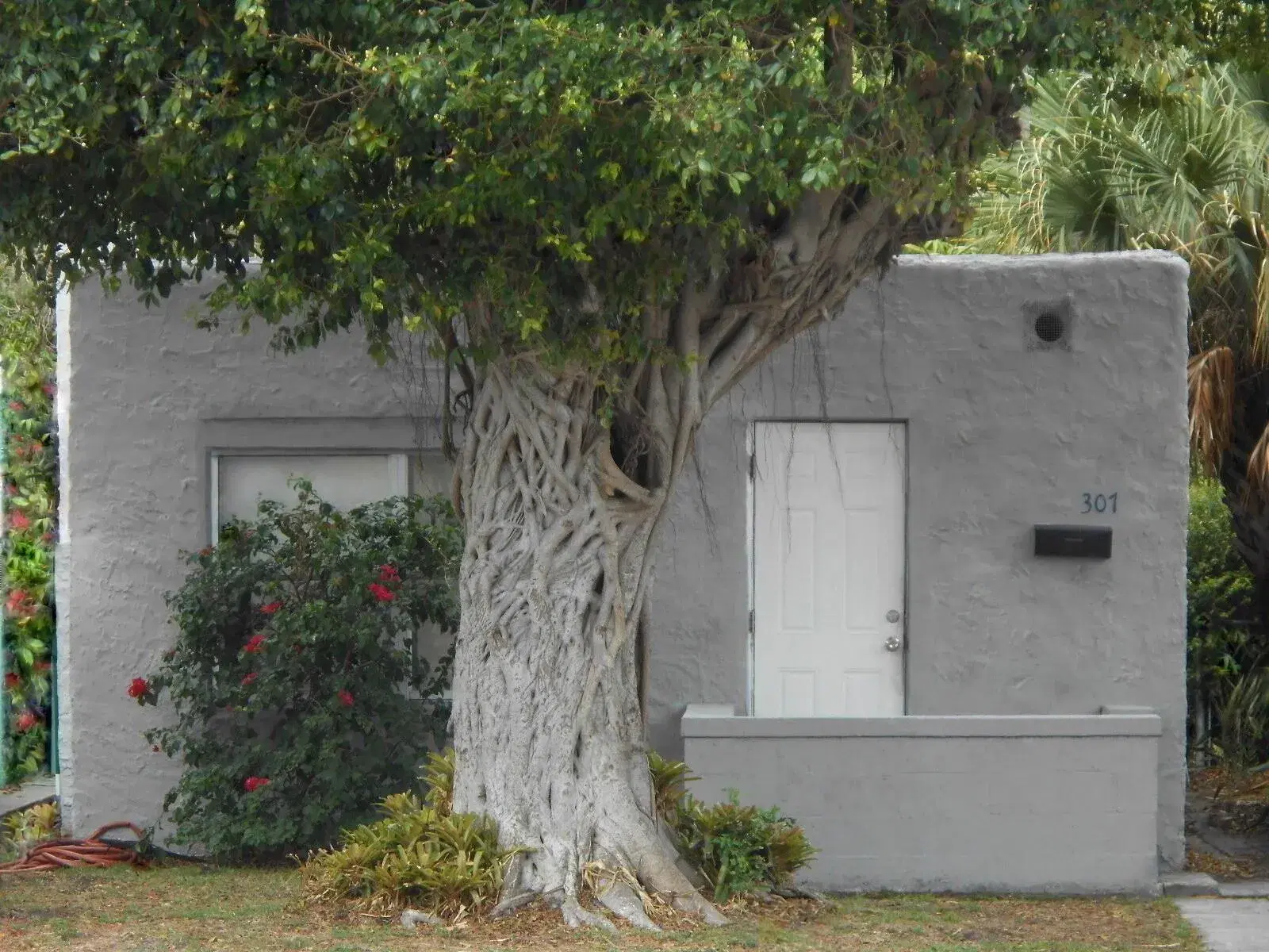 Picture of 307 S F Street, Lake Worth Beach, FL 33460