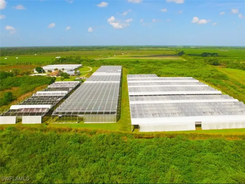 Picture of 6150 Pringle Ln, Immokalee FL 34142