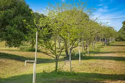 Picture of 3057 D Road, Loxahatchee Groves, FL 33470
