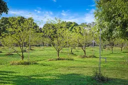 Picture of 3057 D Road, Loxahatchee Groves, FL 33470