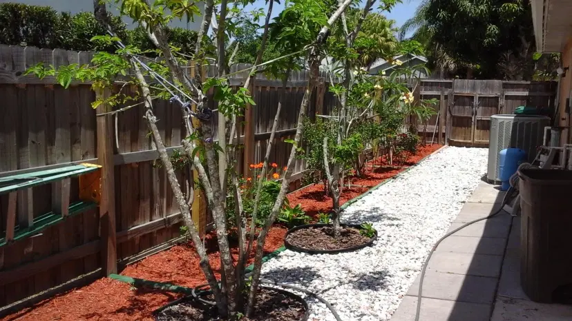 Picture of 1359 Damask Lane, Sebastian FL 32958