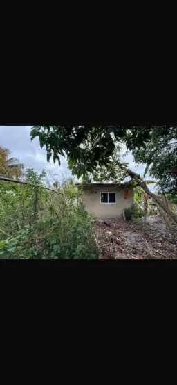 Picture of 4420 NW 14Th St, Lauderhill, FL 33313