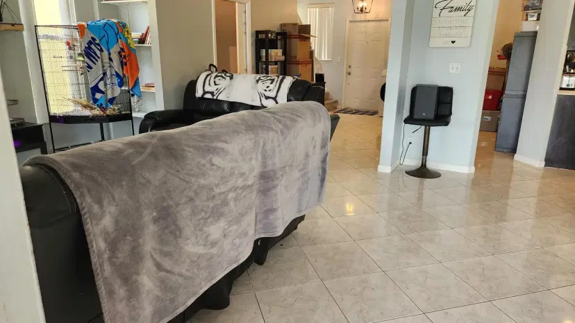 Picture of 7823 Springfield Lake Drive, Lake Worth FL 33467