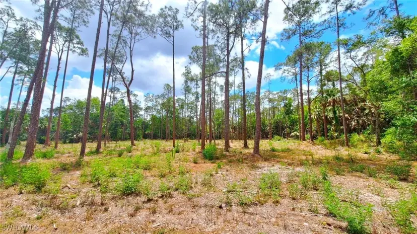 Picture of 3690 27Th Ave Sw, Naples FL 34117