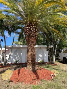 Picture of 815 SE Airoso Blvd, Port St Lucie, FL 34983