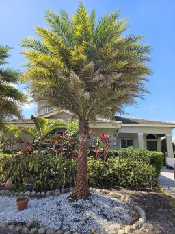 Picture of 7861 Manor Forest Lane, Boynton Beach, FL 33436