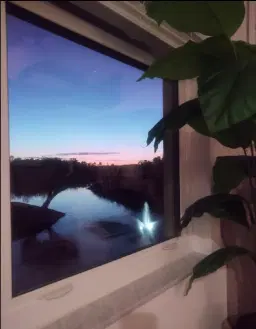 Picture of 541 SW South River Drive 205, Stuart, FL 34997