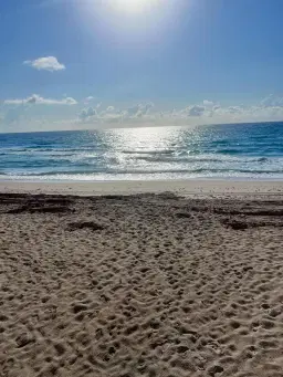 Picture of 3500 S Ocean 117 Boulevard 117, South Palm Beach, FL 33480