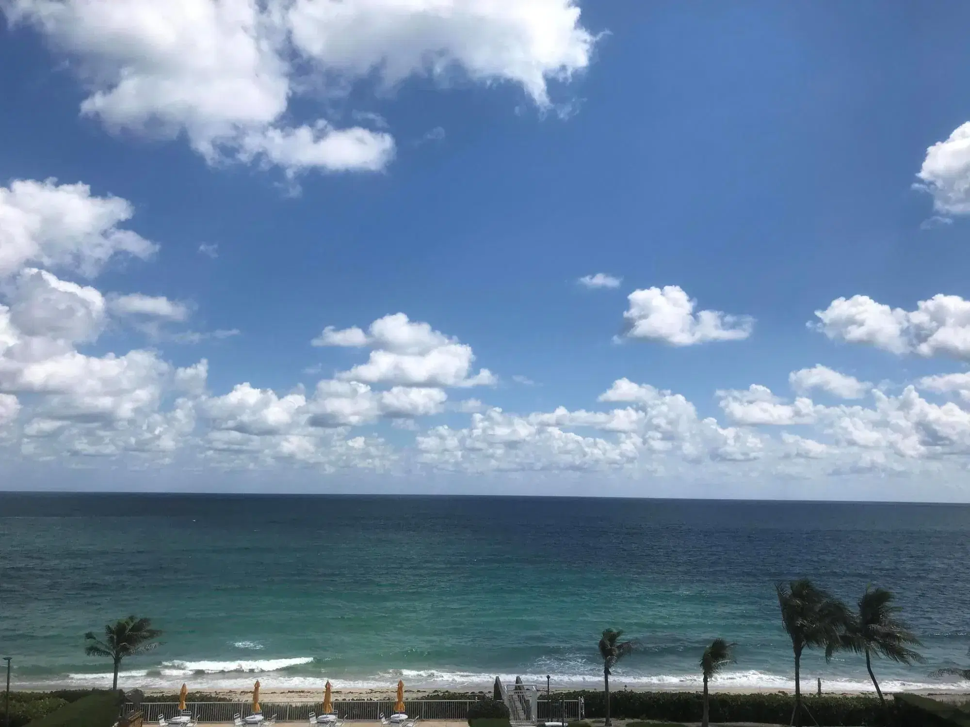 Picture of 3230 S Ocean Boulevard D511, Palm Beach, FL 33480