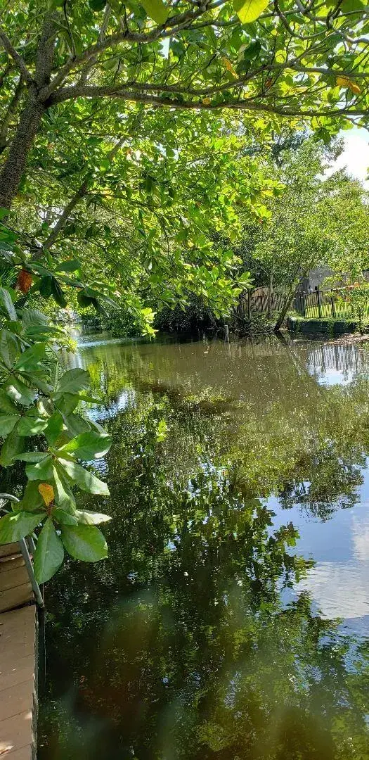 Picture of 1949 SW 28 Terrace, Fort Lauderdale, FL 33312