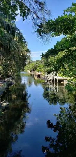 Picture of 1949 SW 28 Terrace, Fort Lauderdale, FL 33312