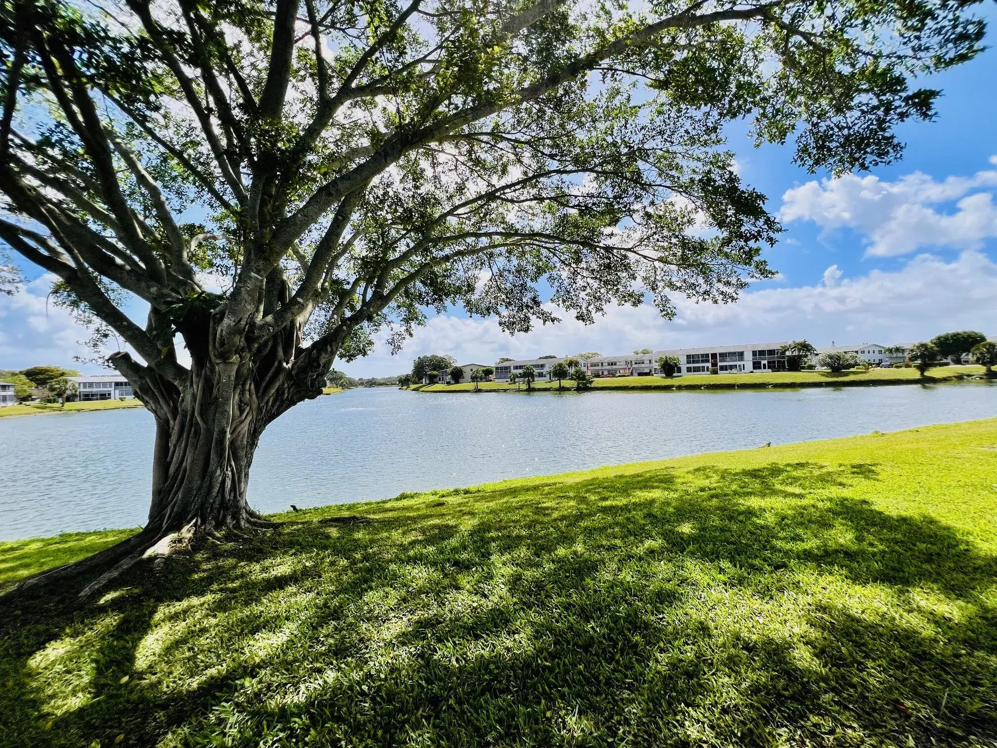 Picture of 143 Chatham G, West Palm Beach, FL 33417
