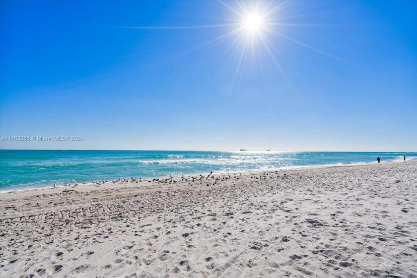 Picture of 5601 Collins Ave # 1514, Miami Beach FL 33140