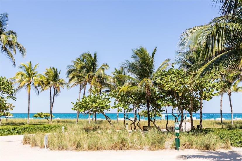 Picture of 10155 Collins Ave # 405, Bal Harbour FL 33154