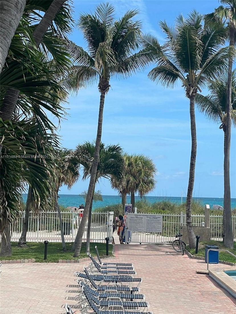 Picture of 6345 Collins Ave # 437, Miami Beach FL 33141