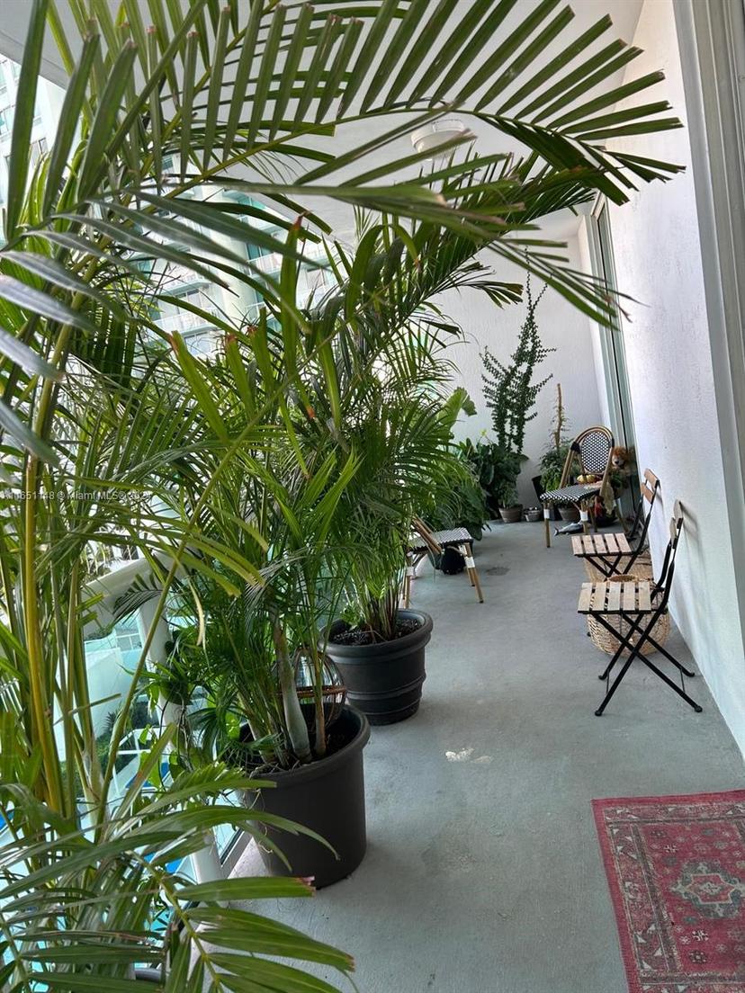 Picture of 1800 N Bayshore Dr # 1704, Miami FL 33132