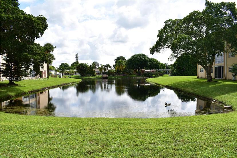 Picture of 2720 N Pine Island Rd # 104, Sunrise FL 33322