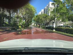 Picture of 16909 N Bay Rd # 614, Sunny Isles Beach, FL 33160