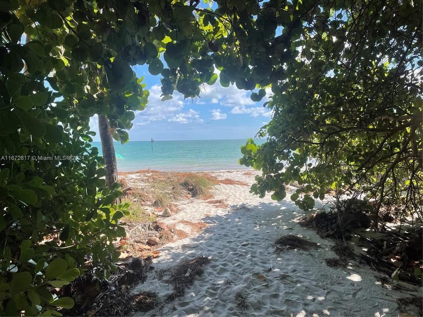 Picture of 590 Ocean Dr # 8C, Key Biscayne FL 33149