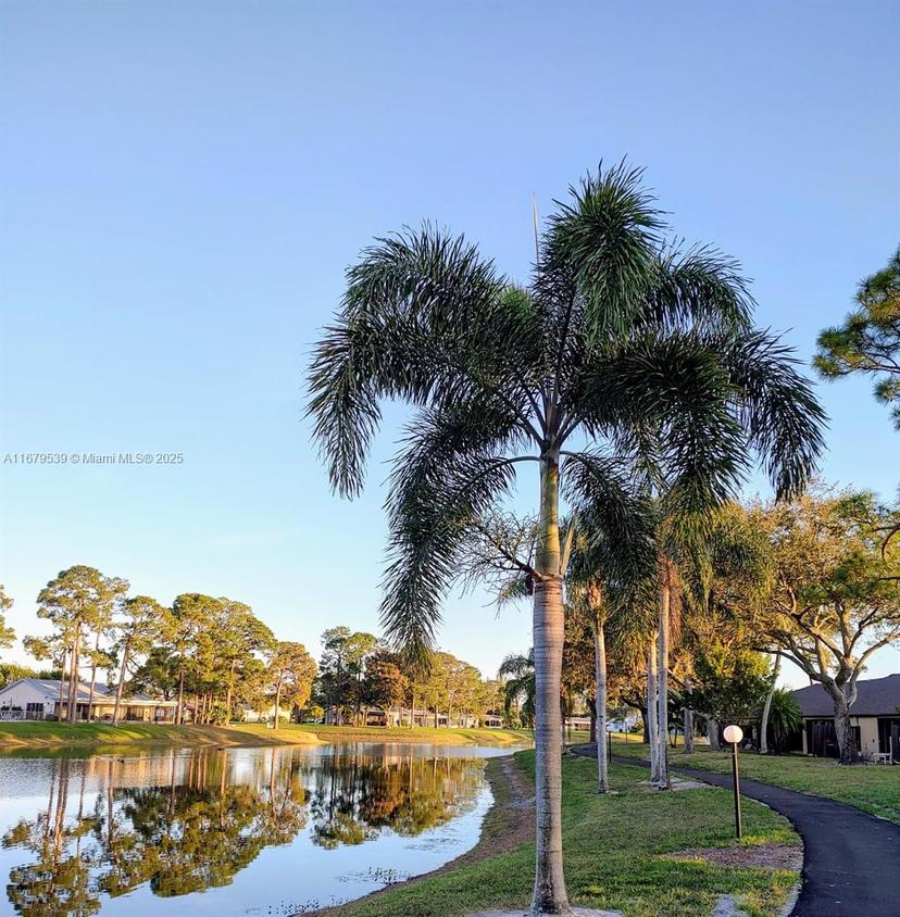 Picture of 442 Pine Glen Ln # 2, Green Acres FL 33463